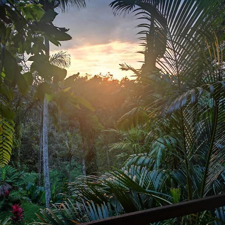 Villa Rimba Ubud Tegallalang  Extérieur photo