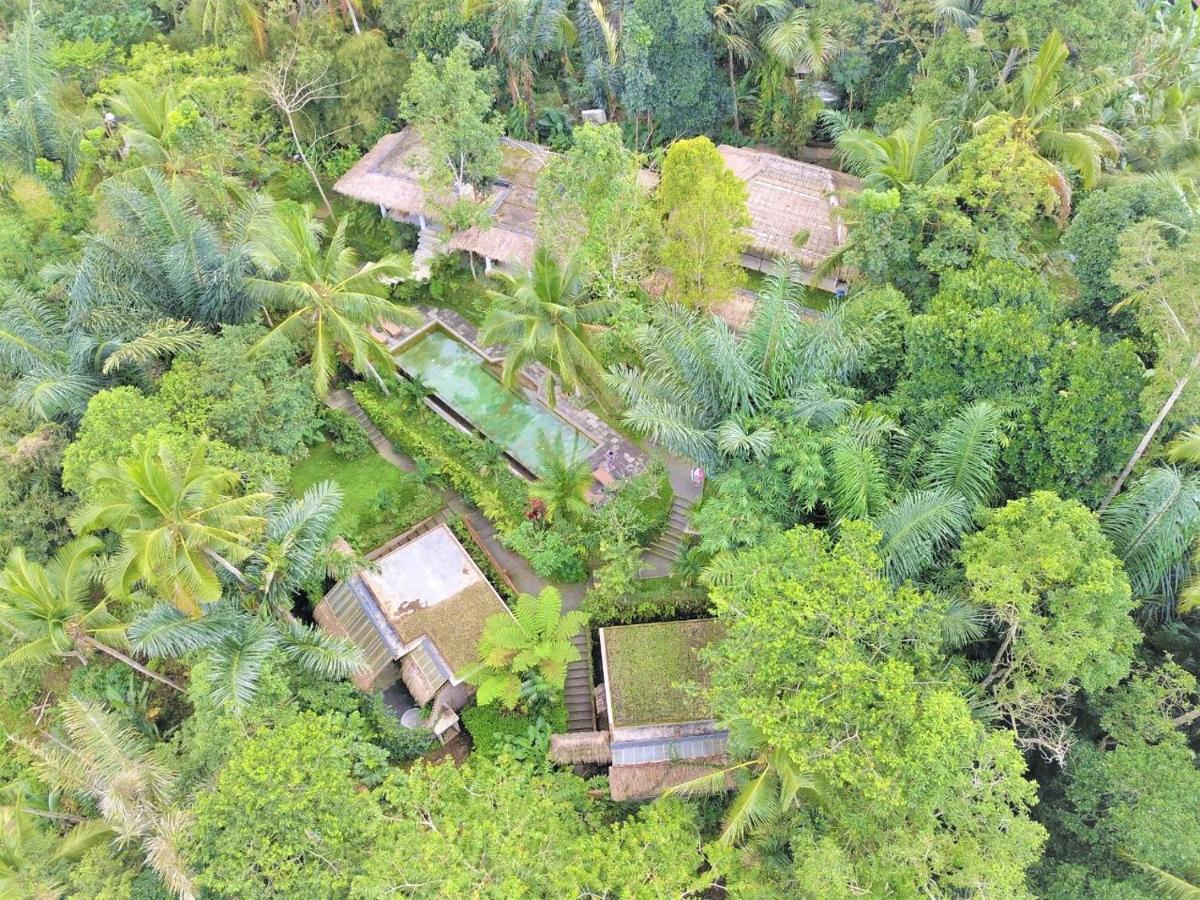 Villa Rimba Ubud Tegallalang  Extérieur photo