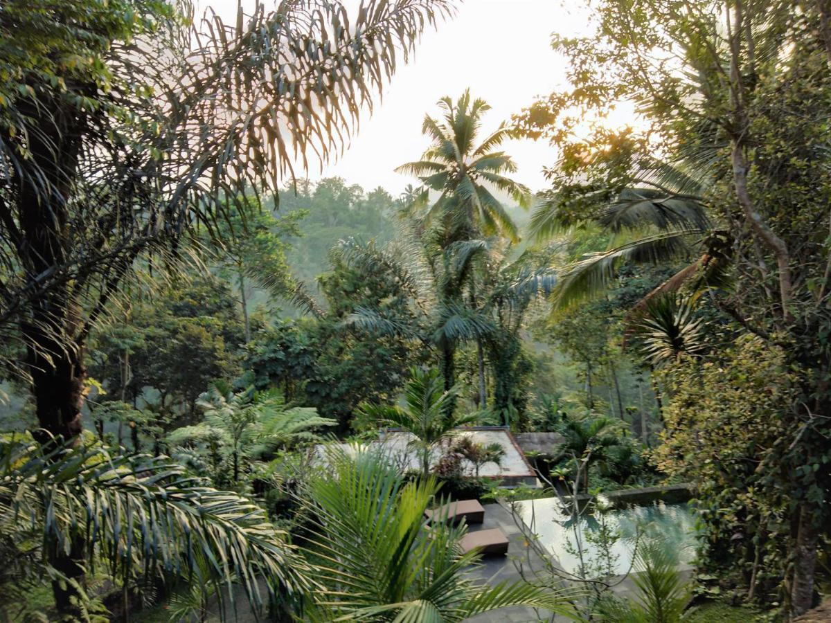 Villa Rimba Ubud Tegallalang  Extérieur photo