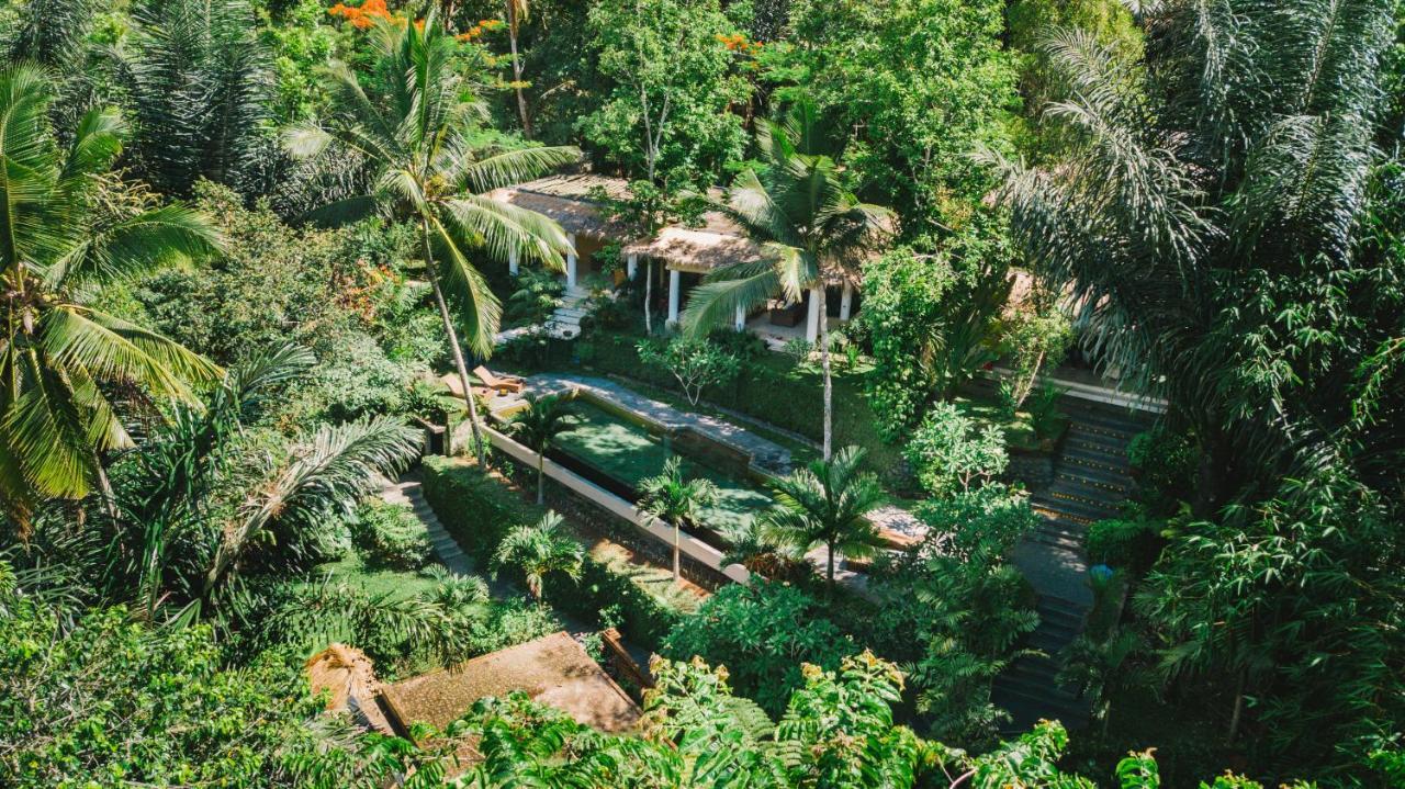 Villa Rimba Ubud Tegallalang  Extérieur photo