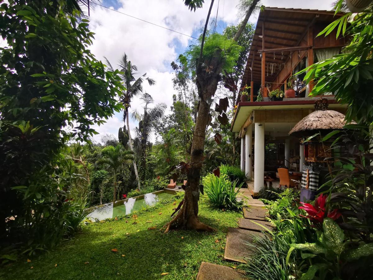 Villa Rimba Ubud Tegallalang  Extérieur photo