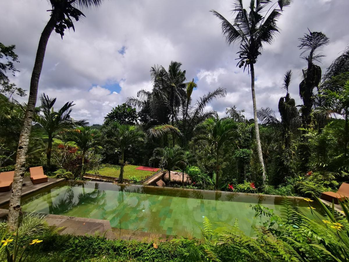 Villa Rimba Ubud Tegallalang  Extérieur photo