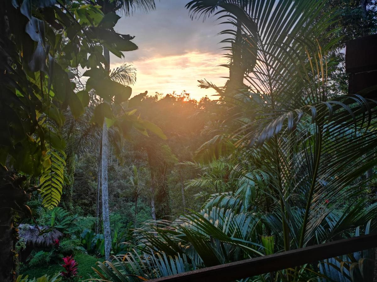 Villa Rimba Ubud Tegallalang  Extérieur photo