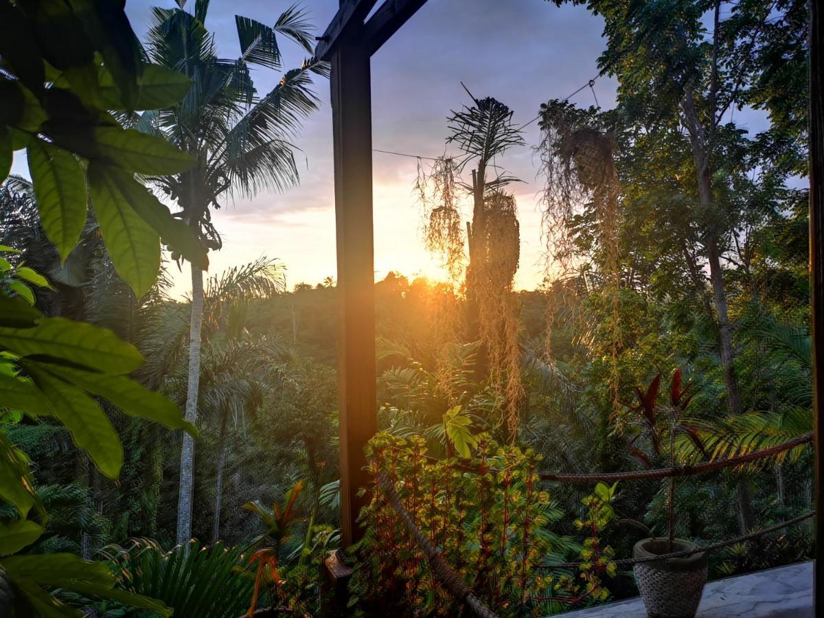 Villa Rimba Ubud Tegallalang  Extérieur photo